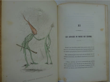 NUS (Eugène), MERAY (Antony), VARIN (Amédée). L'Empire des légumes. 1851. NUS (Eugène), MERAY (Antony), VARIN (Amédée)
