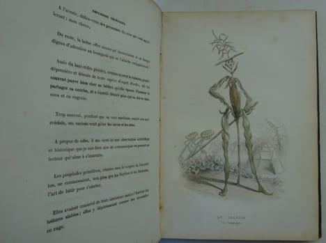 NUS (Eugène), MERAY (Antony), VARIN (Amédée). L'Empire des légumes. 1851. NUS (Eugène), MERAY (Antony), VARIN (Amédée)