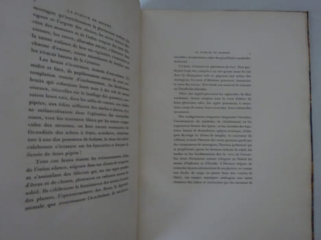 GUICHES (Gustave). La Pudeur de Sodome. Frontispice de Rops. 1888 E.O.. GUICHES (Gustave)