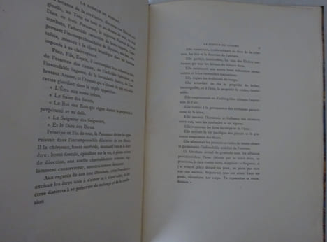 GUICHES (Gustave). La Pudeur de Sodome. Frontispice de Rops. 1888 E.O.. GUICHES (Gustave)