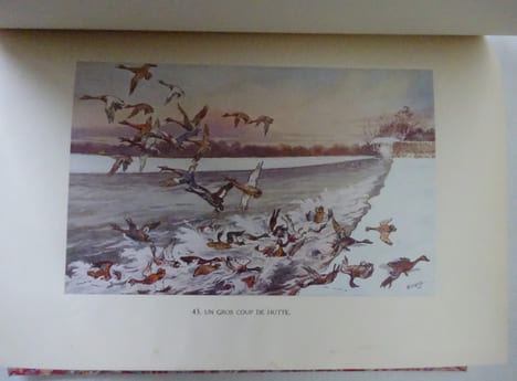 MOUCHON. La Chasse des oiseaux d’eau en France. Aquarelles de Lelièpvre 1931. MOUCHON