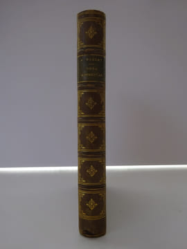DAUDET, Alphonse. Numa Roumestan. Mœurs parisiennes. 1881 E.O.. DAUDET, Alphonse
