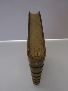 DAUDET, Alphonse. Numa Roumestan. Mœurs parisiennes. 1881 E.O.. DAUDET, Alphonse
