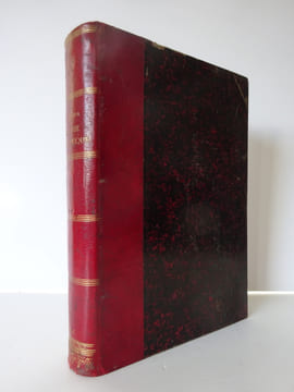 ROBIDA, Albert. Le Vingtième siècle. La Vie électrique. 1892. ROBIDA, Albert