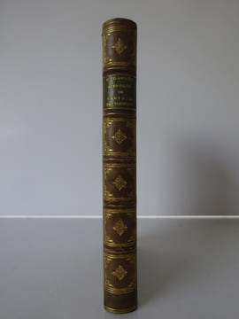 DAUDET, Alphonse. Aventures prodigieuses de Tartarin de Tarascon. Dentu 1873. DAUDET, Alphonse