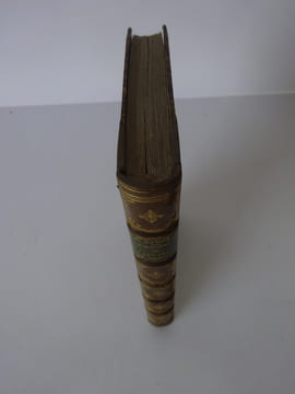 DAUDET, Alphonse. Aventures prodigieuses de Tartarin de Tarascon. Dentu 1873. DAUDET, Alphonse
