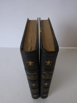 SUE, Eugène. Les Sept péchés capitaux. L'envie - La colère. 1885. SUE, Eugène