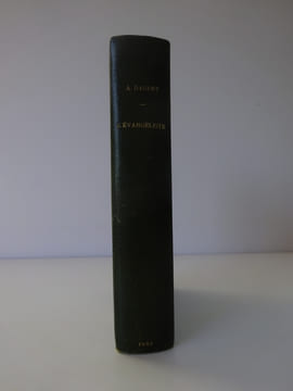 DAUDET (Alphonse). L'Évangéliste. Dentu 1883. E.O. Sur Hollande. DAUDET (Alphonse)