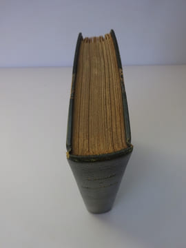 DAUDET (Alphonse). L'Évangéliste. Dentu 1883. E.O. Sur Hollande. DAUDET (Alphonse)