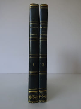 [SAINTE-BEUVE (Charles-Augustin)]. Volupté. Renduel (1834).. SAINTE-BEUVE (Charles-Augustin)