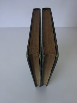 [SAINTE-BEUVE (Charles-Augustin)]. Volupté. Renduel (1834).. SAINTE-BEUVE (Charles-Augustin)
