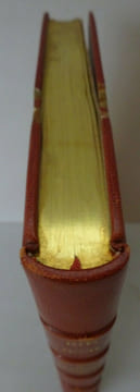 PELLIER (Jules). La Selle et le costume de l'Amazone. Rothschild 1897. PELLIER (Jules)