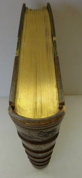 BOIS (George). Les Damnées. Dentu 1890. Reliure CANAPE. BOIS (George)