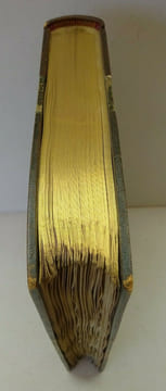 BOIS (George). Les Damnées. Dentu 1890. Reliure CANAPE. BOIS (George)