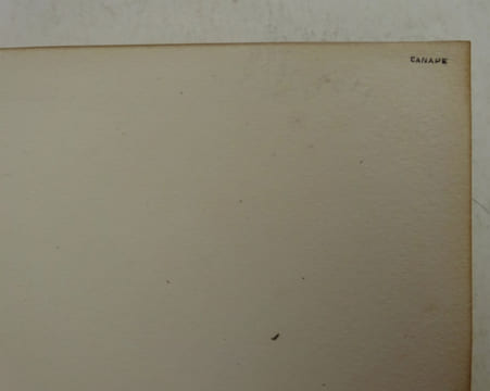 BOIS (George). Les Damnées. Dentu 1890. Reliure CANAPE. BOIS (George)