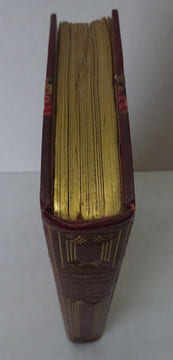 GONCOURT (Edmond de). La Fille Elisa. Charpentier (1877). E.O. 1/75 sur Hollande. GONCOURT (Edmond de)