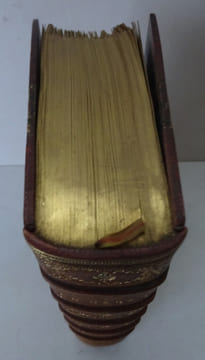 DAUDET (Alphonse). Le Nabab. Mœurs parisiennes. 1877 E.O. 1/75 sur Hollande. DAUDET (Alphonse)