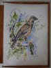 Duhamel (Georges). Fables de mon Jardin. Lithographies de Monique Journod. Duhamel