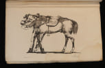 M&eacute;thode d'&eacute;quitation bas&eacute;e sur de nouveaux principes. Baucher F.