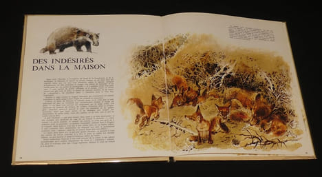 La comédie animale, Les Resquilleurs-Les Tricheurs. Hausman René