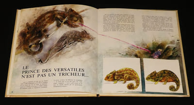 La comédie animale, Les Resquilleurs-Les Tricheurs