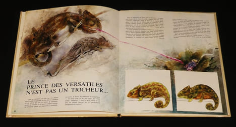La comédie animale, Les Resquilleurs-Les Tricheurs. Hausman René