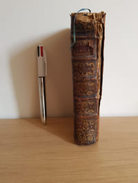 Nouveau recueil contenant la vie, les amours, les infortunes et les lettres d'Abailard et d'Héloïse, les lettres d'une Religieuse Portugaise et du Chevalier, celles de Cléante et Belise, avec l'histoire de la Matrone d'Ephese