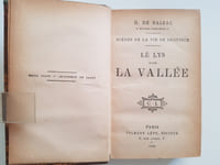 Le Lys dans la vallée