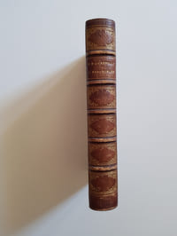 L'Ensorcelée