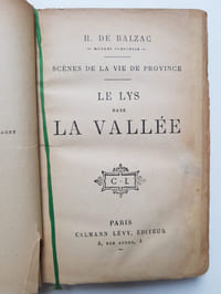 Le Lys dans la vallée