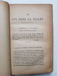 Le Lys dans la vallée