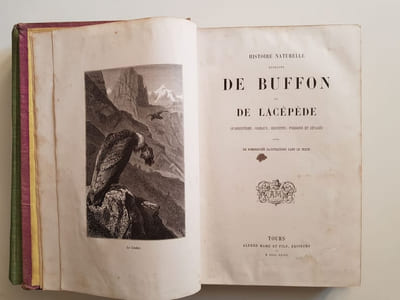 Histoire naturelle extraite de Buffon et de Lacépède - Quadrupèdes, Oiseaux, Serpents, Poissons et Cétacés
