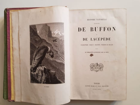 Histoire naturelle extraite de Buffon et de Lacépède - Quadrupèdes, Oiseaux, Serpents, Poissons et Cétacés. Buffon Georges-Louis Leclerc ; Lacépède ...