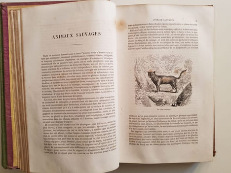 Histoire naturelle extraite de Buffon et de Lacépède - Quadrupèdes, Oiseaux, Serpents, Poissons et Cétacés. Buffon Georges-Louis Leclerc ; Lacépède ...