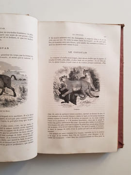Histoire naturelle extraite de Buffon et de Lacépède - Quadrupèdes, Oiseaux, Serpents, Poissons et Cétacés. Buffon Georges-Louis Leclerc ; Lacépède ...