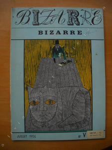 BIZARRE :le dompteur de voix sauvages par Franz HELLENS.la vision d'Olafson par Théodore KOENIG.cabinet noir.dans le monde des variants par J.H. ROSNY AINE.Raymond Isidore, batisseur de rêves par Robert GIRAUD.le miroir des âmes par Noël ARNAUD.recours en grace.les pays d'illusion par Pierre BAILLY.la complainte de TOM DE BEDLAM  traduc J.B.BRUNIUS.TROIS CONTE par Pierre BETTENCOUR.NOTES par Jacques DELPAL, Michel DEUTSCH, Michel LACLOS, Jacques TREZEL.ILLUSTRATIONS : Robert DOISNEAU, CHRISTOPHE, Pierre BAILLY, Guy BOURDIN, SINE, Yan d'ARGENT? Tony JOHANNOT.