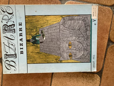 BIZARRE :le dompteur de voix sauvages par Franz HELLENS.la vision d'Olafson par Théodore KOENIG.cabinet noir.dans le monde des variants par J.H. ROSNY AINE.Raymond Isidore, batisseur de rêves par Robert GIRAUD.le miroir des âmes par Noël ARNAUD.recours en grace.les pays d'illusion par Pierre BAILLY.la complainte de TOM DE BEDLAM  traduc J.B.BRUNIUS.TROIS CONTE par Pierre BETTENCOUR.NOTES par Jacques DELPAL, Michel DEUTSCH, Michel LACLOS, Jacques TREZEL.ILLUSTRATIONS : Robert DOISNEAU, CHRISTOPHE, Pierre BAILLY, Guy BOURDIN, SINE, Yan d'ARGENT? Tony JOHANNOT.