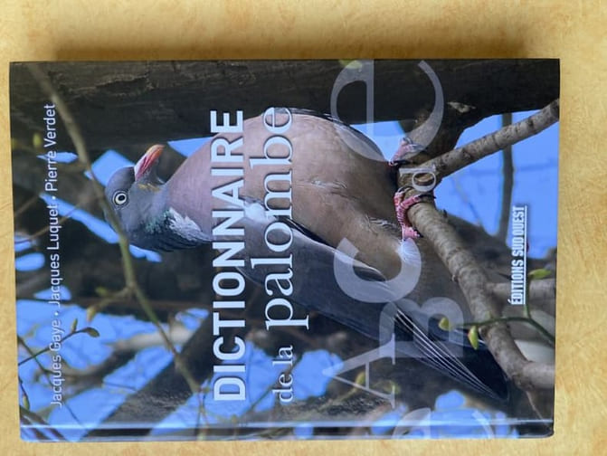 DICTIONNAIRE DE LA PALOMBE