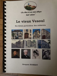 LE VIEUX VESIOUL ses hotels particuliers .Ses célébrités