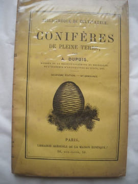 Conifères de pleine terre. . DUPUIS A.