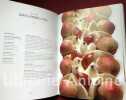 Les 5 saisons par Hugo et Victor. 80 créations au fil des saisons. Hugues Pouget et Sylvain Blanc avec Alexandra Michot. Photographies Stéphane de ...