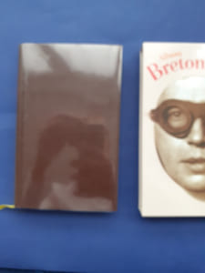 Album Breton.
Iconographie choisie et documentée par Robert Kopp.
Collection Pléiade.
Gallimard, 2008.