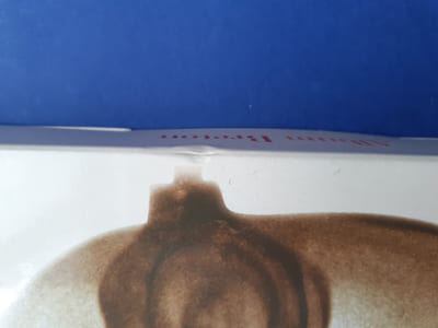 Album Breton.
Iconographie choisie et documentée par Robert Kopp.
Collection Pléiade.
Gallimard, 2008.