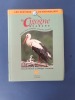 La Cigogne Blanche. Biologie, Moeurs, Mythologie, Cohabitation, Protection...
. Etienne, Pascal et Carruette, Philippe
