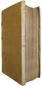 Mémoires de Pierre François Prodez, de Beragrem, marquis d'Almacheu, contenant ses voyages et tout ce qui luy est arrivé de plus remarquable dans sa vie. Le tout fait par luy-même.