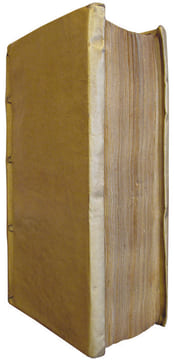 Mémoires de Pierre François Prodez, de Beragrem, marquis d'Almacheu, contenant ses voyages et tout ce qui luy est arrivé de plus remarquable dans sa ...
