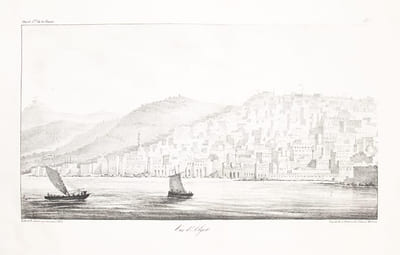 Aperçu historique, statistique et topographique sur l'Etat d'Alger à l'usage de l'armée Expéditionnaire d'Afrique, Avec plans, vues et costumes. Publié par ordre de son Excellence le Ministre de la Guerre.