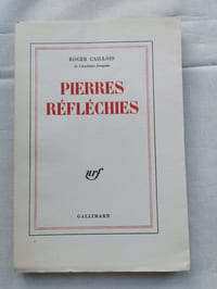 PIERRES REFLECHIES.