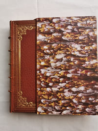 CAQUETS DE L'ACCOUCHEE (LES) publiés par D.Jouaust avec une préface de Louis Ulbach. Eaux-fortes par Ad. Lalauze.