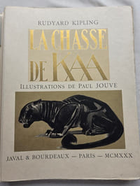 LA CHASSE DE KAA .